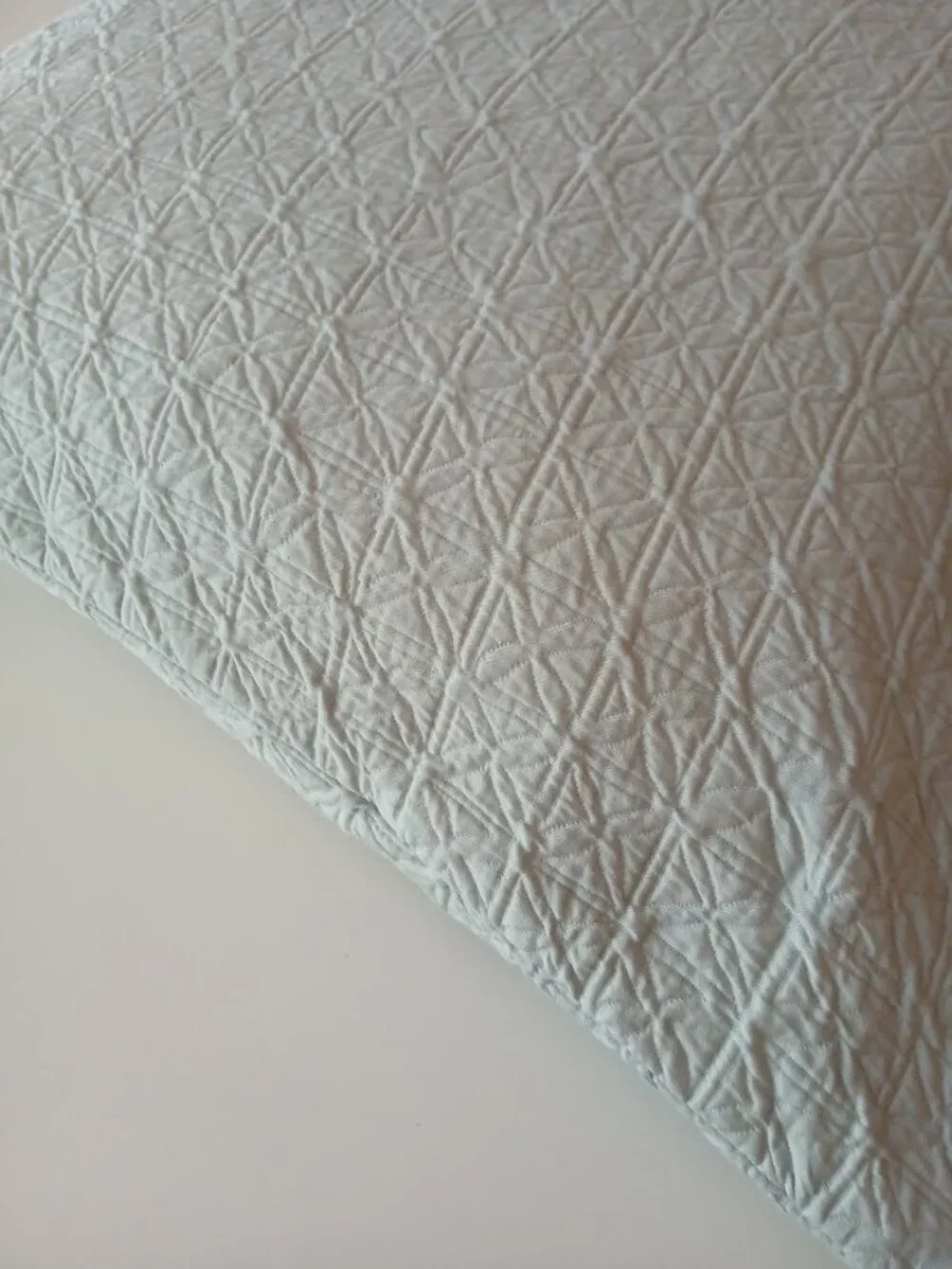 CALVIN KLEIN HOME Mint 100% Cotton Euro Sham - large